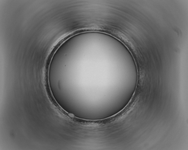 X0000112941085200909071049