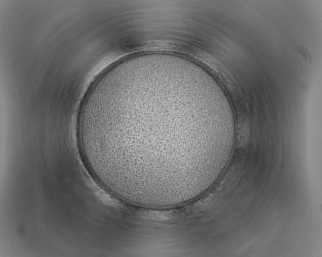 X0000112941086200909071049