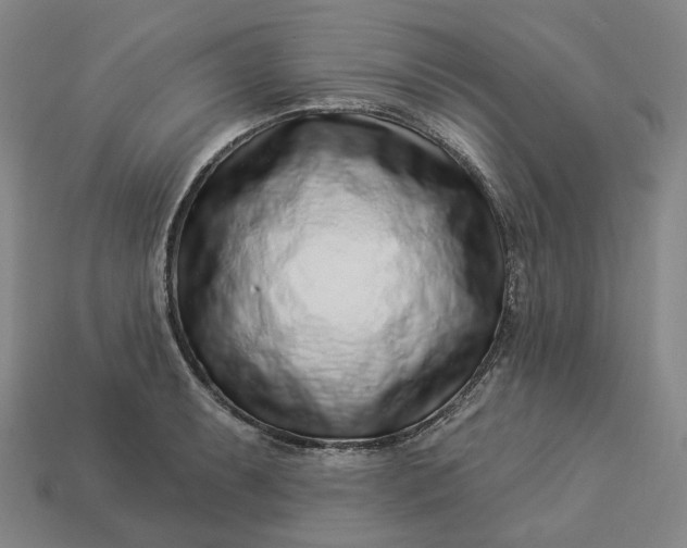 X0000112941087200909071049