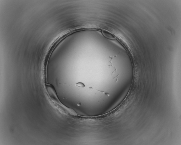 X0000112941088200909071049