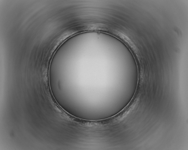 X0000112941089200909071049