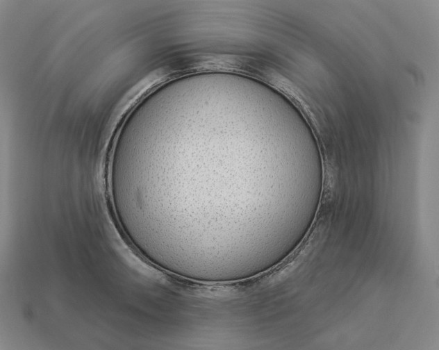 X0000112941090200909071049