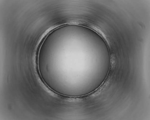 X0000112941091200909071049