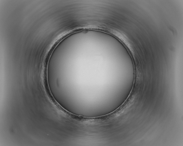 X0000112941093200909071049