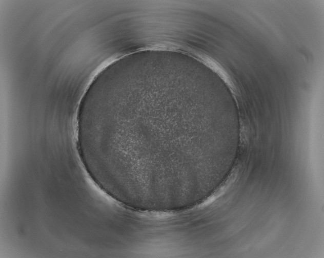 X0000112941095200909071049