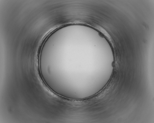 X0000112941096200909071049