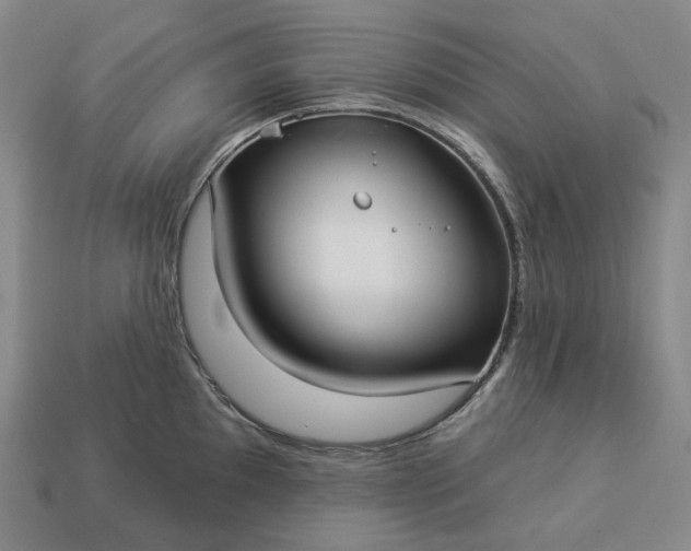 X0000112941097200909071049