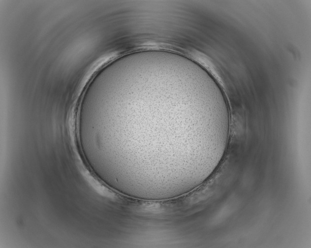 X0000112941098200909071049