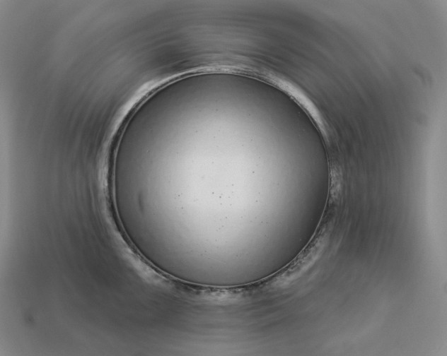 X0000112941099200909071049