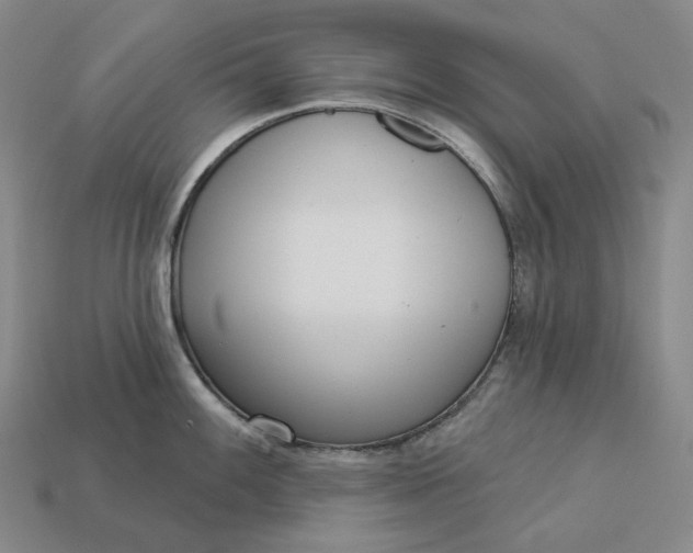 X0000112941100200909071049