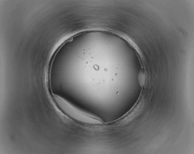 X0000112941101200909071049