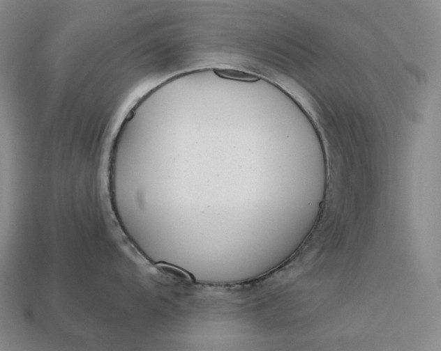 X0000112941104200909071049