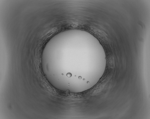 X0000112941105200909071048