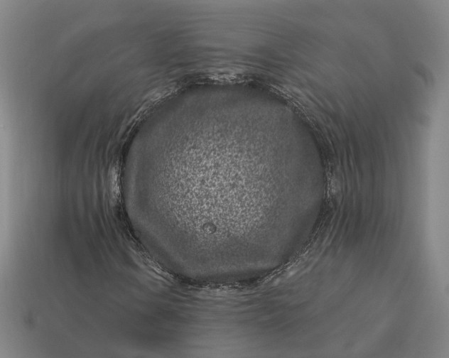 X0000112941106200909071048