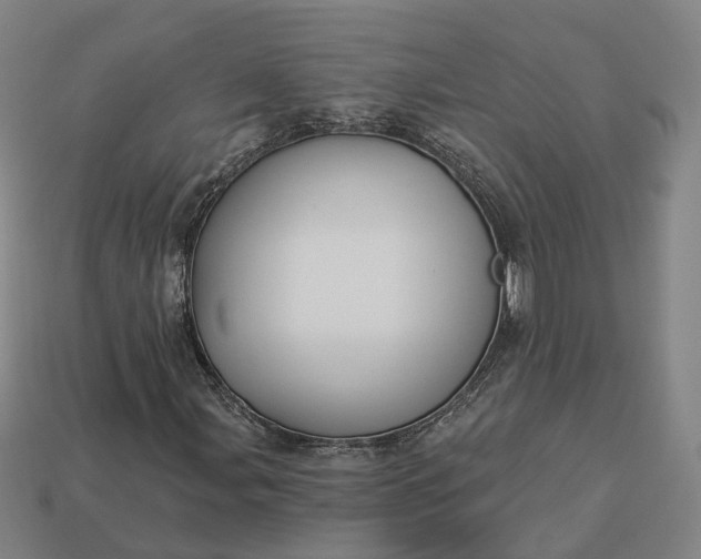 X0000112941107200909071048