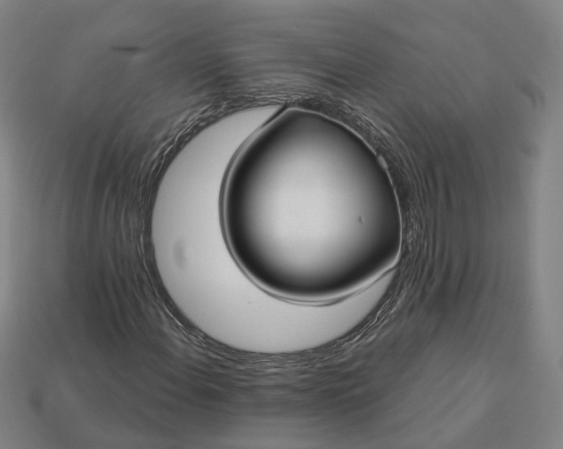 X0000112941108200909071048