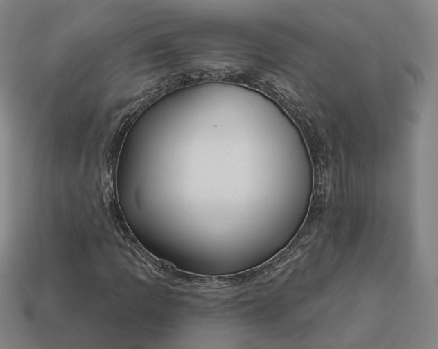 X0000112941109200909071048