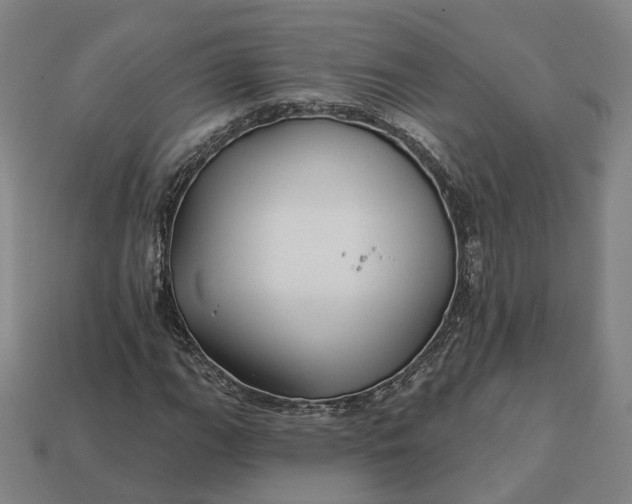 X0000112941111200909071049