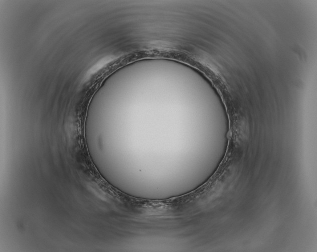 X0000112941112200909071049