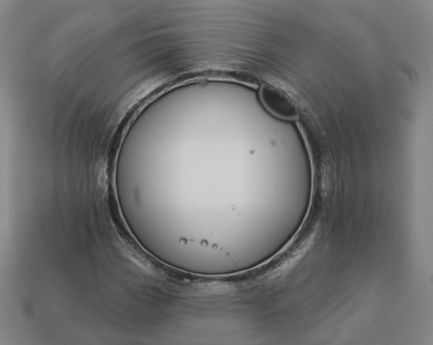 X0000112941113200909071049