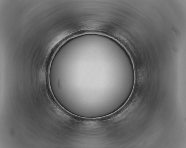 X0000112941114200909071049