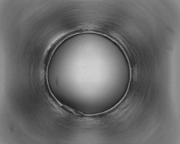 X0000112941115200909071049