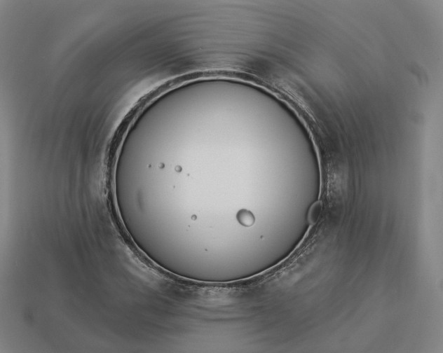 X0000112941116200909071049