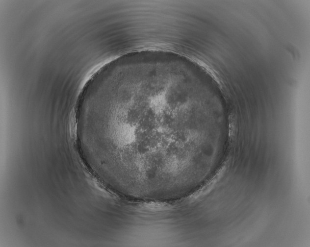 X0000112941117200909071049