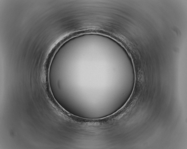 X0000112941118200909071049