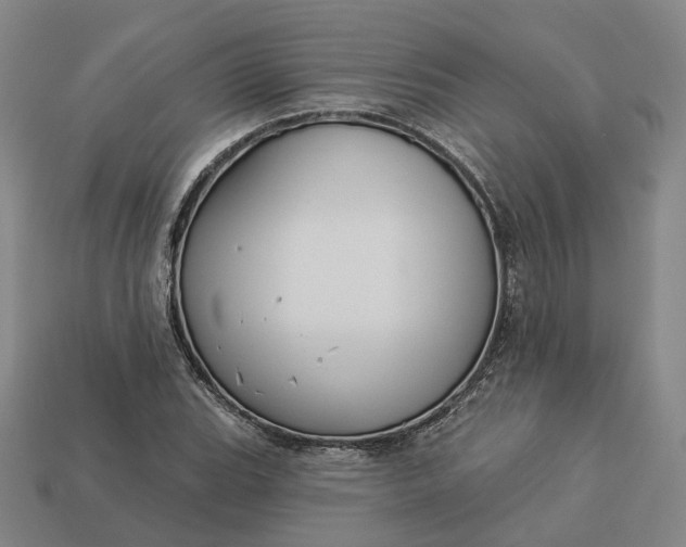 X0000112941119200909071049