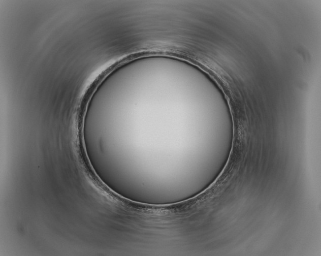 X0000112941120200909071049