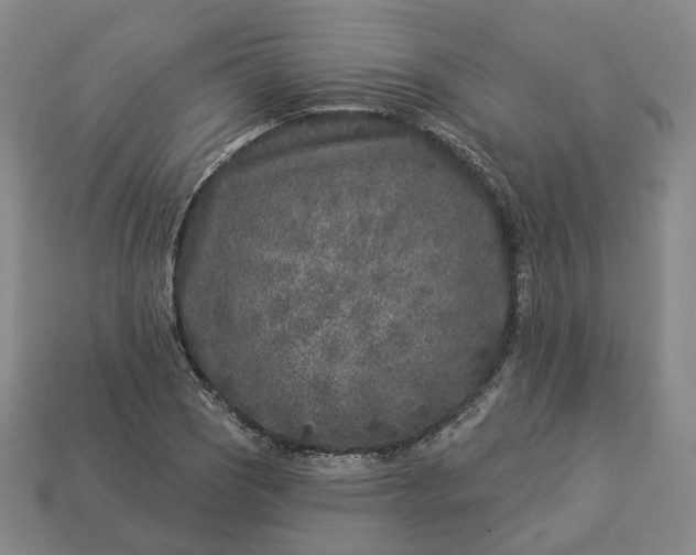 X0000112941121200909071049