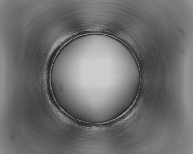 X0000112941122200909071049