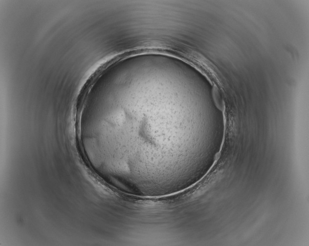 X0000112941124200909071049