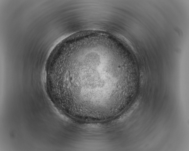 X0000112941125200909071049