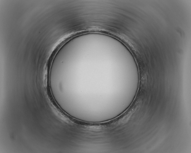 X0000112941126200909071049