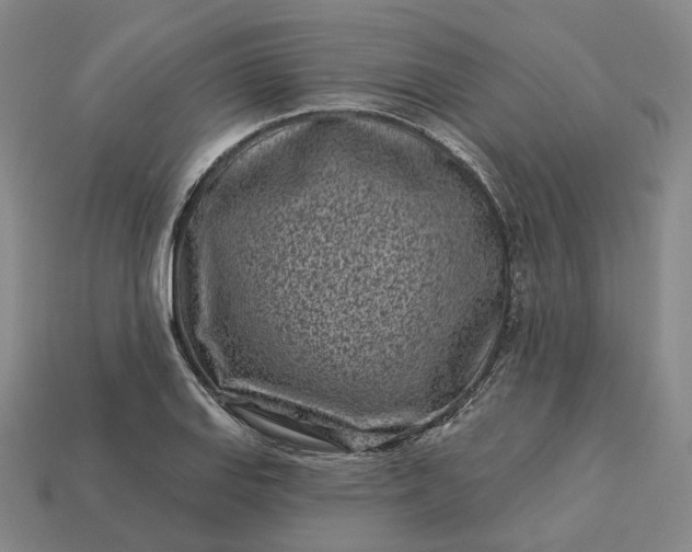 X0000112941127200909071049