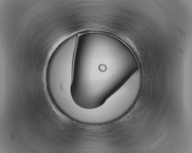 X0000112941128200909071049