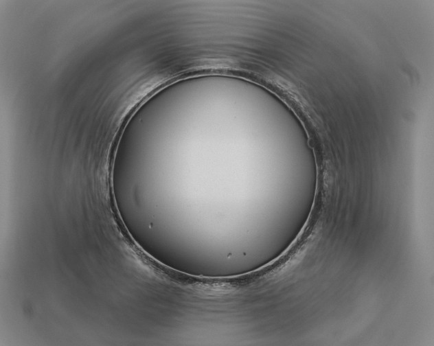 X0000112941129200909071049