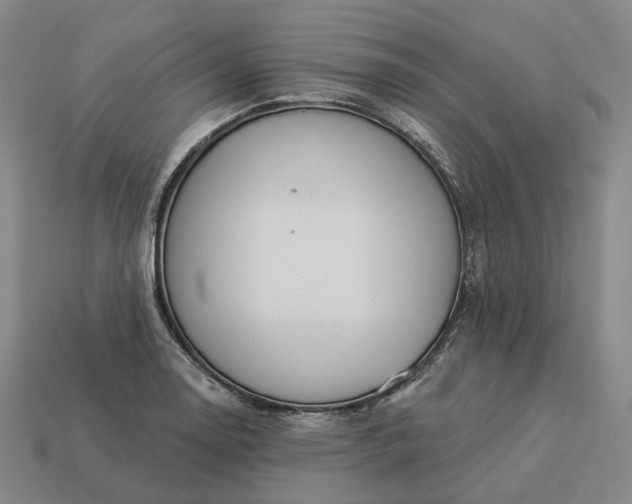 X0000112941130200909071049