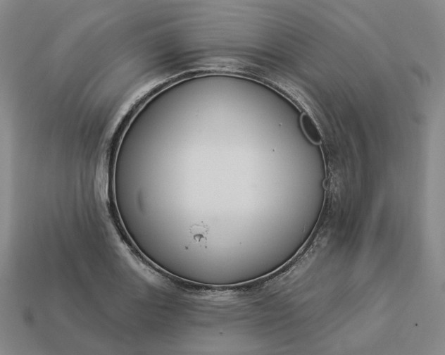 X0000112941131200909071049