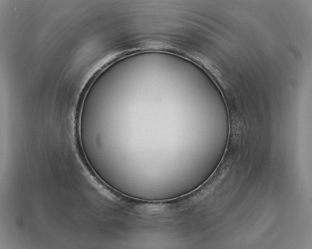 X0000112941134200909071049