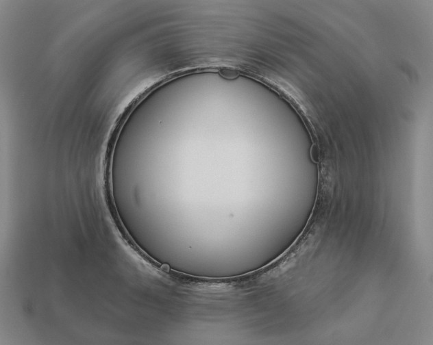 X0000112941135200909071049