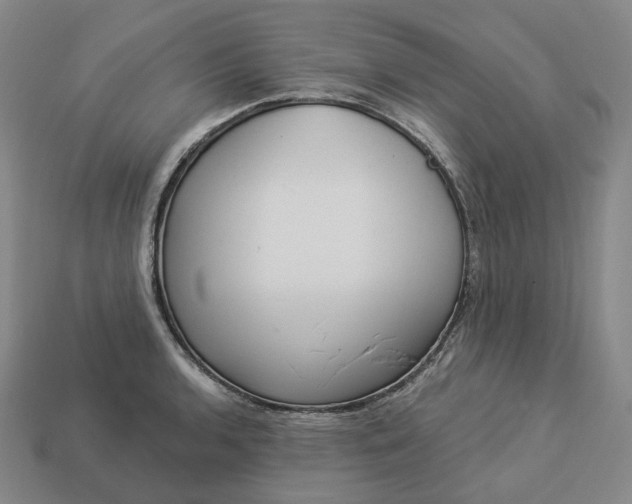 X0000112941136200909071049