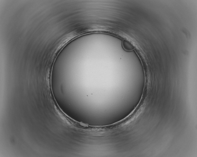 X0000112941137200909071049