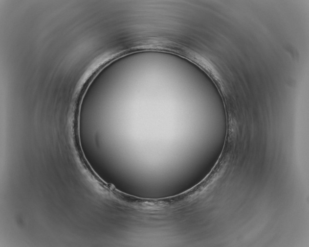 X0000112941138200909071049