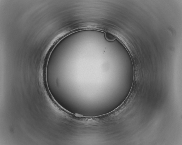 X0000112941139200909071049