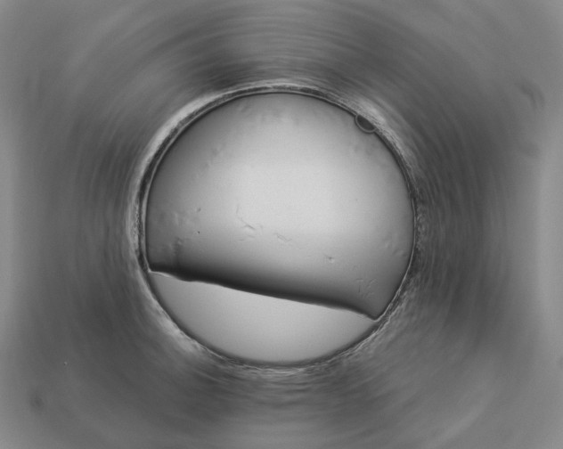 X0000112941140200909071049