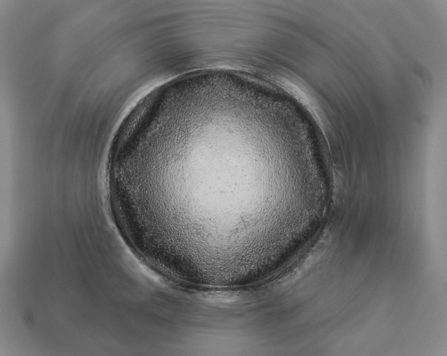 X0000112941141200909071049