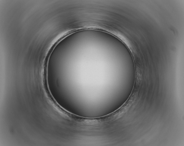 X0000112941142200909071049